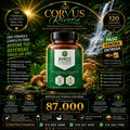 APOYO INMUNOLÓGICO MULTICOMPONENTE Y VITAMINICO  AHCC BY VITAL WORLD
